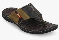 Lee Cooper Coffee Slippers men