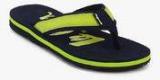 Lee Cooper Green Flip Flops Men