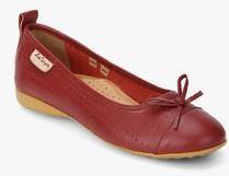 Lee Cooper Maroon Lazer Cut Belly Shoes women