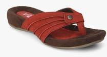 Lee Cooper Maroon Sandals women