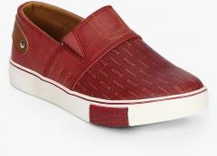 Lee Cooper Maroon Sneakers boys