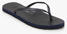 Lee Cooper Navy Blue Flip Flops women