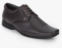 Liberty Fortune Brown Derby Formal Shoes men