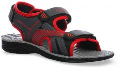 Liberty Grey Sport Sandals men