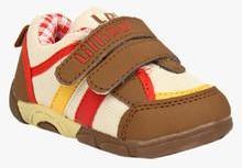 Lilliput Brown Sneakers boys