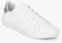 Lotto Boston White Sneakers boys