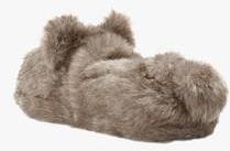 Next Grey Bear Character Slippers women