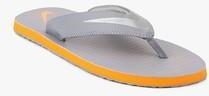 Nike Chroma Thong 5 Grey Slippers men