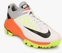 Nike Domain 2 Ns Multicoloured Cricket Shoes men