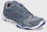 Nike Flex Supreme Tr 3 Grey Running Shoes Men