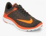 Nike Fs Lite Run 4 Grey Running Shoes Men