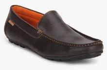 Numero Uno Brown Loafers men