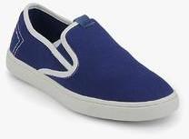 Phosphorus Blue Loafers men