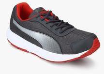 Puma Aeden Grey Running Shoes men