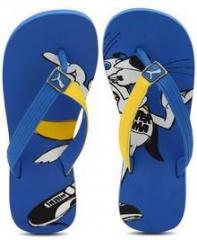 Puma Cool Cat Jr Blue Flip Flops boys