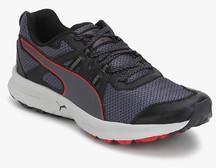 Puma Descendant Tr Black Running Shoes men