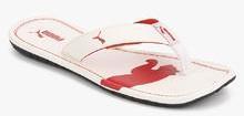 Puma Drifter Cat Dp White Slippers men