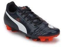 Puma Evopower 4 Fg Jr Blue Football Shoes girls