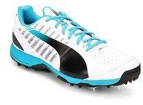 Puma Evospeed Cricket Spike 1.3 White Cricket men