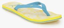 Puma Express Dp Blue Flip Flops women