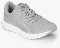 Puma Flexracer Gleam Wns Idp Grey Running Shoes women