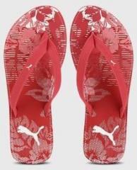 Puma Flora 2 Dp Red Flip Flops women