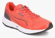 Puma Future Runner Wn S Dp Red Running Shoes women