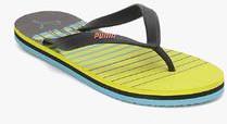 Puma Grace Dp Yellow Flip Flops men