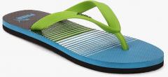 Puma Green Solid Thong Flip Flops men