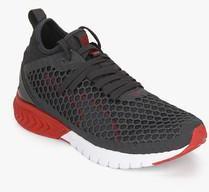 Puma Ignite Dual Netfit Grey Running Shoes men