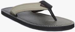 Puma Khaki & Black Solid Thong Flip Flops men