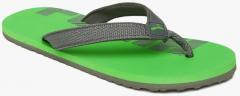 Puma Kids Grey & Green Epic Flip V3 GU PS IDP Printed Thong Flip Flops