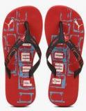 Puma Kongo Ii Ind Red Flip Flops Men