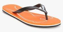 Puma Luca Men S Dp Black Flip Flops men