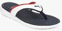 Puma Lycus Dp Navy Blue Flip Flops men