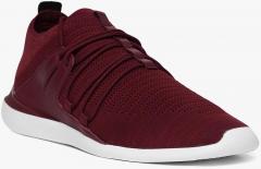 Puma Maroon SF Evo Cat Sock Lace LS Running Shoes men