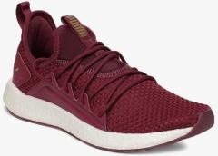 Puma Maroon Women NRGY Neko VT Training Shoes women