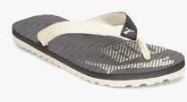 Puma Miami Fashion Dp Black Flip Flops men