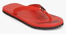 Puma Miami Fashion Dp Black Flip Flops women