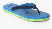 Puma Miami Fashion Ii Dp Blue Flip Flops men