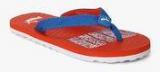 Puma Miami Fashion Ii Dp Blue Flip Flops women