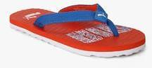 Puma Miami Fashion Ii Dp Blue Flip Flops women