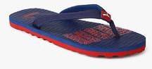 Puma Miami Fashion Ii Dp Navy Blue Flip Flops women