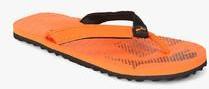 Puma Miami Fashion Ii Idp Orange Flip Flops men