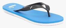 Puma Odius Dp Black Flip Flops women