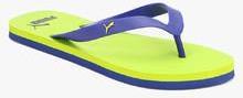 Puma Odius Dp Blue Flip Flops women