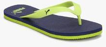 Puma Odius Dp Green Flip Flops men