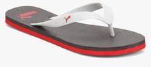 Puma Odius Dp Grey Flip Flops men