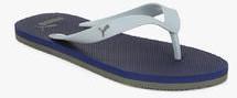 Puma Odius Dp Light Blue Flip Flops men