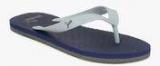 Puma Odius Dp Light Blue Flip Flops women